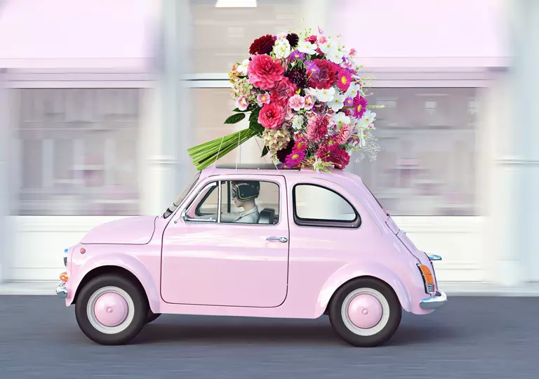 Decofleur Fontainebleau Drive