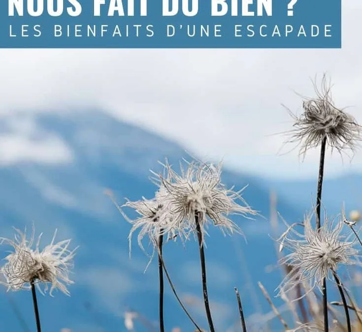 découvrez les multiples bienfaits de la nature sur notre santé physique et mentale. plongez dans les riches paysages et apprenez comment la nature peut améliorer votre bien-être, réduire le stress et favoriser une vie plus équilibrée.
