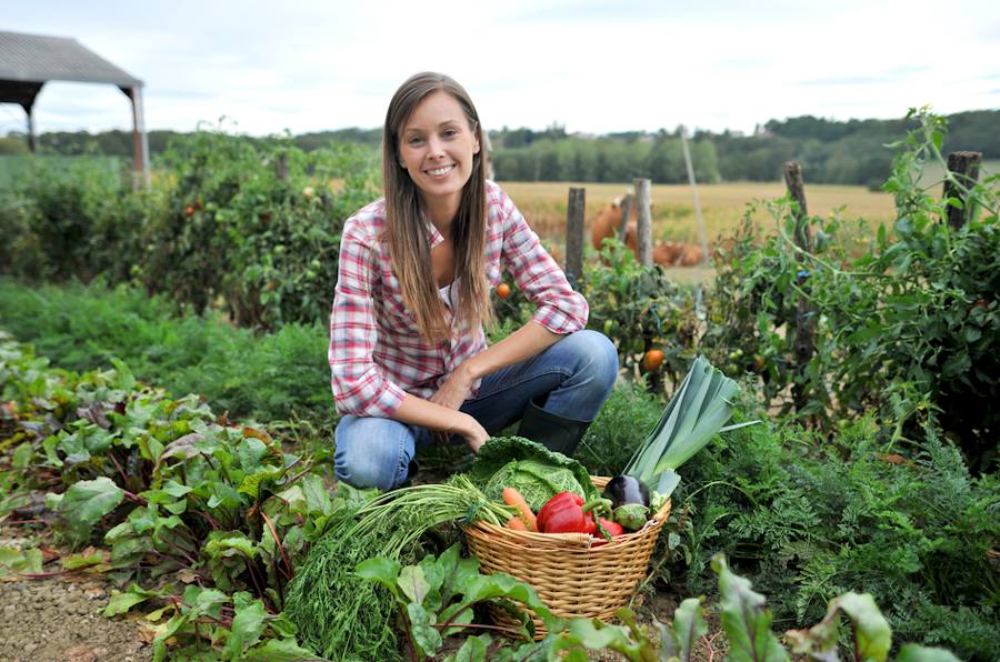 Comment créer un jardin potager chez soi