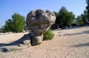 découvrez l'histoire fascinante de noisy-sur-école et explorez ses attraits uniques. plongez dans le patrimoine culturel de cette charmante commune, ses paysages pittoresques et ses activités de plein air. une invitation à la découverte et à l'évasion au cœur de la nature.