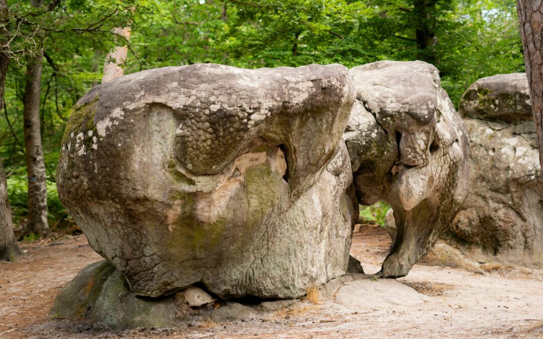 découvrez la beauté de la nature lors d'un week-end inoubliable en forêt de fontainebleau. promenez-vous à travers des sentiers pittoresques, explorez des rochers fascinants et ressourcez-vous dans ce cadre apaisant, idéal pour les amoureux de la randonnée et de l'aventure.