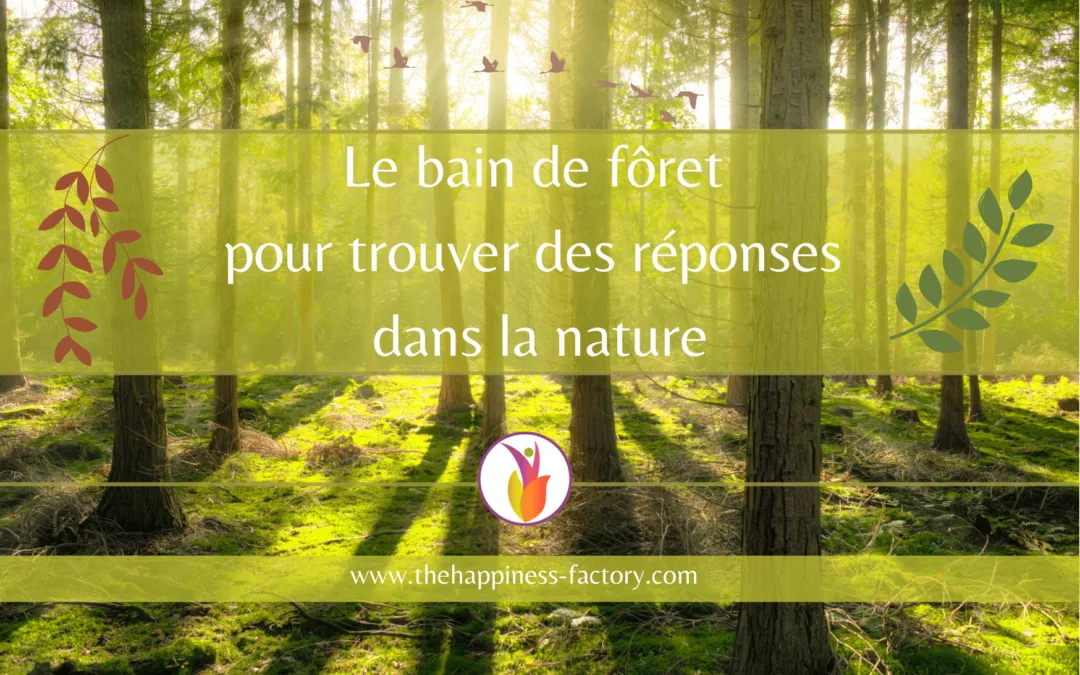 découvrez les nombreux bienfaits des forêts pour notre environnement, notre santé et notre bien-être. apprenez comment ces écosystèmes préservent la biodiversité, régulent le climat et améliorent la qualité de l'air, tout en offrant des espaces de détente et d'évasion.