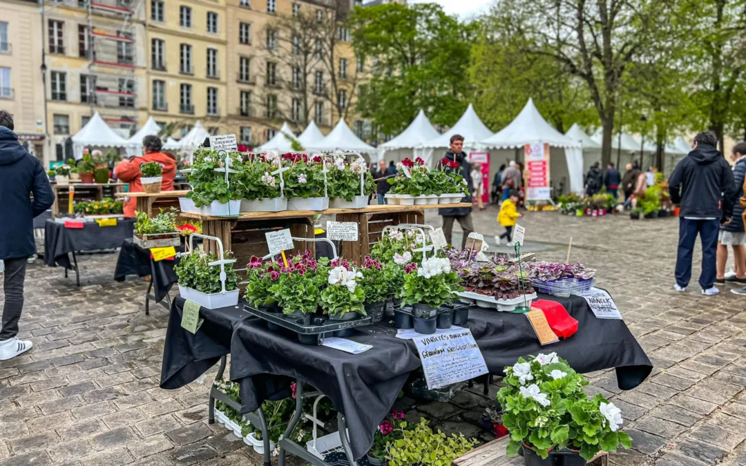 découvrez les horaires des marchés à paris pour les 26 et 27 octobre 2024. ne manquez pas l'occasion de visiter ces lieux emblématiques et de profiter des produits frais et locaux proposés par nos commerçants.