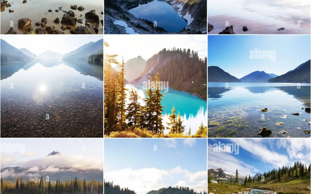 découvrez une collection éblouissante de paysages divers, allant des montagnes majestueuses aux plages ensoleillées. explorez les merveilles de la nature à travers des images enchanteuses et laissez-vous inspirer par la beauté de notre planète.