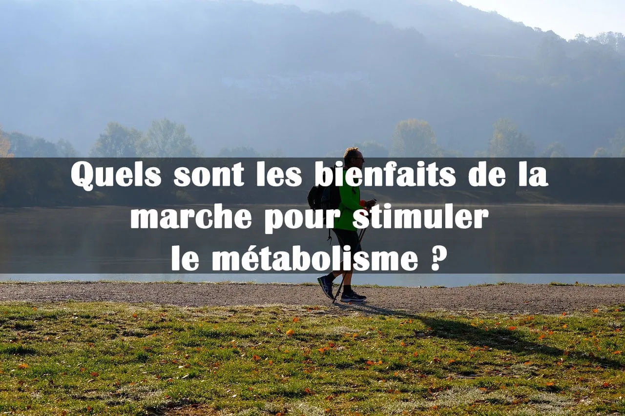 découvrez les nombreux bienfaits de la marche pour la santé physique et mentale. améliorez votre condition cardiovasculaire, renforcez vos muscles, réduisez le stress et augmentez votre énergie. la marche, un simple geste au quotidien pour un bien-être durable.
