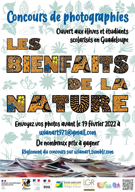 découvrez les bienfaits de la nature pour la santé physique et mentale. apprenez comment passer du temps en plein air peut réduire le stress, améliorer l'humeur et favoriser un mode de vie sain. explorez les connections entre nature et bien-être, et adoptez des habitudes qui renforcent votre lien avec l'environnement.