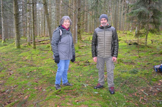 découvrez les multiples bienfaits des forêts : des écosystèmes essentiels pour la biodiversité, à leur rôle crucial dans la régulation du climat et la purification de l'air, en passant par leurs effets positifs sur la santé mentale et le bien-être. plongez dans l'importance de préserver ces espaces naturels.