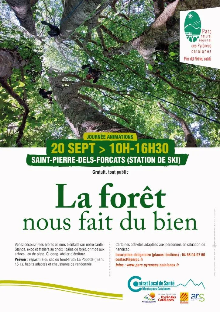 découvrez les innombrables bienfaits des forêts sur notre environnement et notre santé. apprenez comment la biodiversité, la purification de l'air et la régulation du climat impactent positivement notre quotidien, tout en soulignant l'importance de la préservation de ces écosystèmes vitaux.