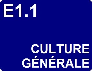 découvrez les richesses de la culture et de l'expression à travers des réflexions profondes, des analyses d'œuvres et des explorations des différents moyens d'expression artistique qui façonnent notre monde. plongez dans un univers où la créativité et l'identité culturelle s'entrelacent.