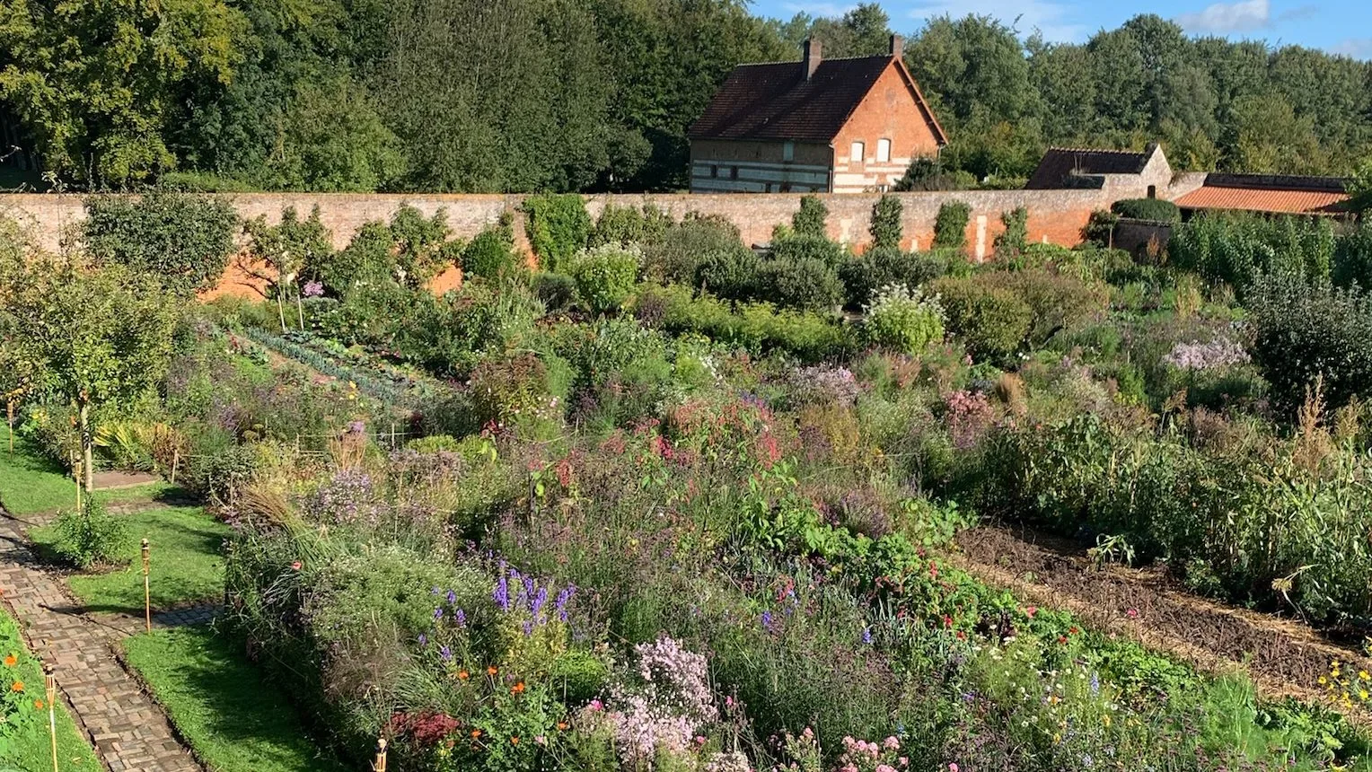 découvrez comment créer et entretenir votre jardin potager, avec des conseils pratiques pour cultiver vos légumes préférés, optimiser l'espace et favoriser une récolte abondante et saine.