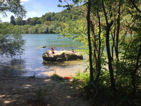 découvrez samoreau, un charmant village français alliant richesse historique et cadre naturel exceptionnel. explorez ses ruelles pittoresques, son patrimoine architectural et profitez d'activités de plein air pour toute la famille.