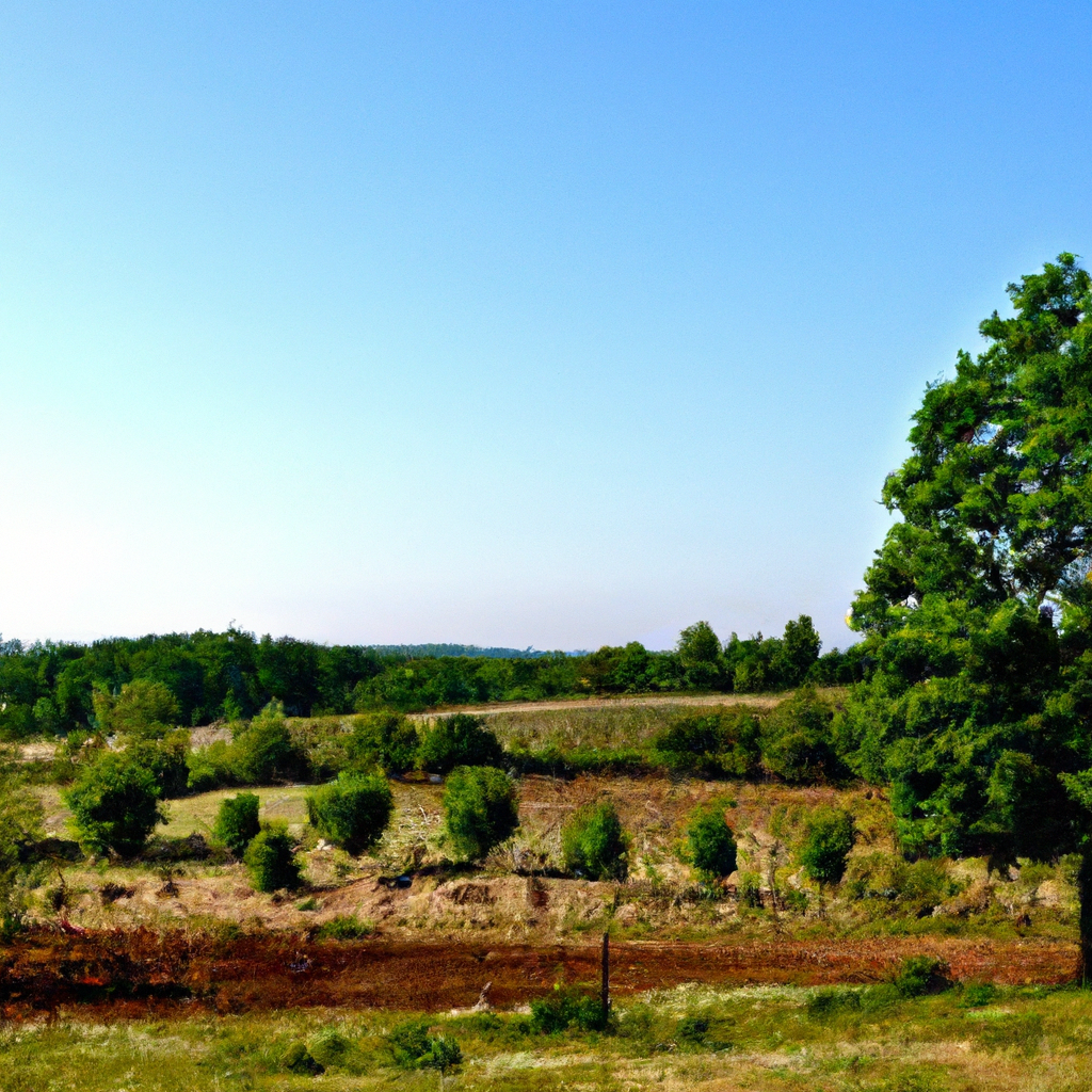 explorez la région de fontainebleau à travers le prisme de l'éco-pâturage et découvrez la ferme des tournelles. plongez dans un aperçu unique de ce territoire avant son essor immobilier, alliant nature préservée et projets d'avenir.