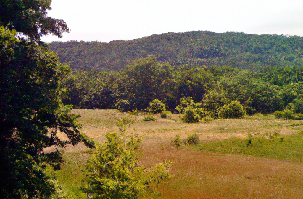 explorez la région de fontainebleau à travers l'éco-pâturage et la ferme des tournelles. découvrez un équilibre entre nature et développement immobilier, tout en profitant d'un patrimoine environnemental riche et inspirant.