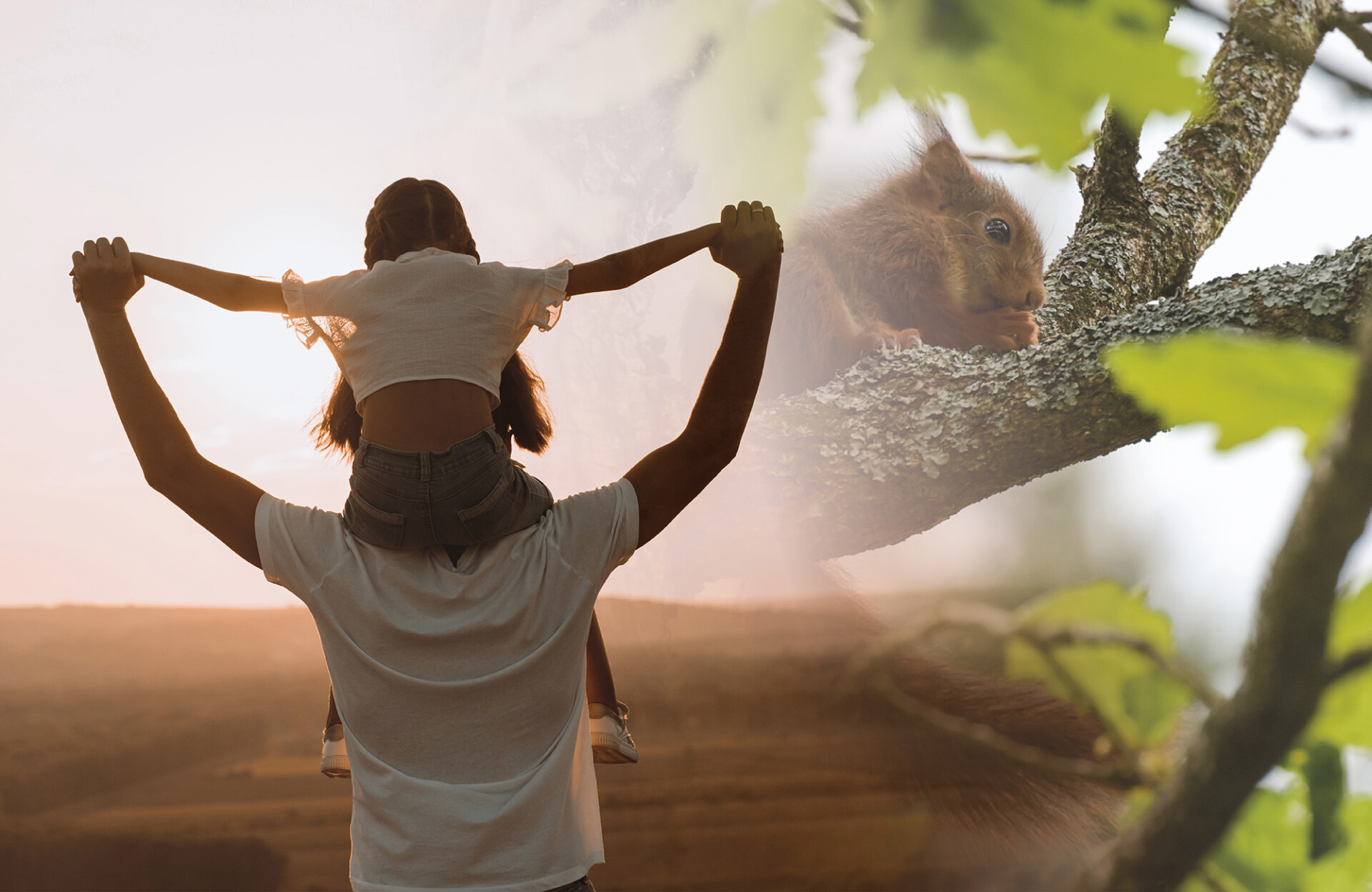 découvrez la richesse de la biodiversité à fontainebleau, un véritable sanctuaire de faune et de flore. explorez ses forêts, ses paysages variés et les espèces emblématiques qui y habitent. un voyage au cœur de la nature vous attend!