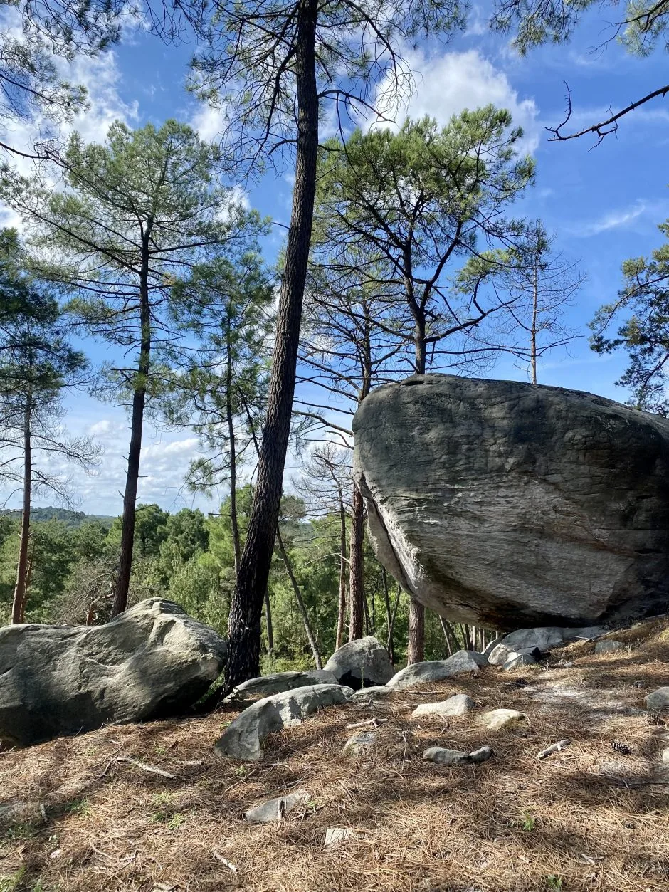 découvrez l'évasion idéale au cœur de la forêt de fontainebleau, un véritable havre de paix pour les amateurs de nature et d'aventure. profitez des sentiers boisés, des paysages époustouflants et des activités en plein air qui font de cette destination un lieu incontournable pour se ressourcer.