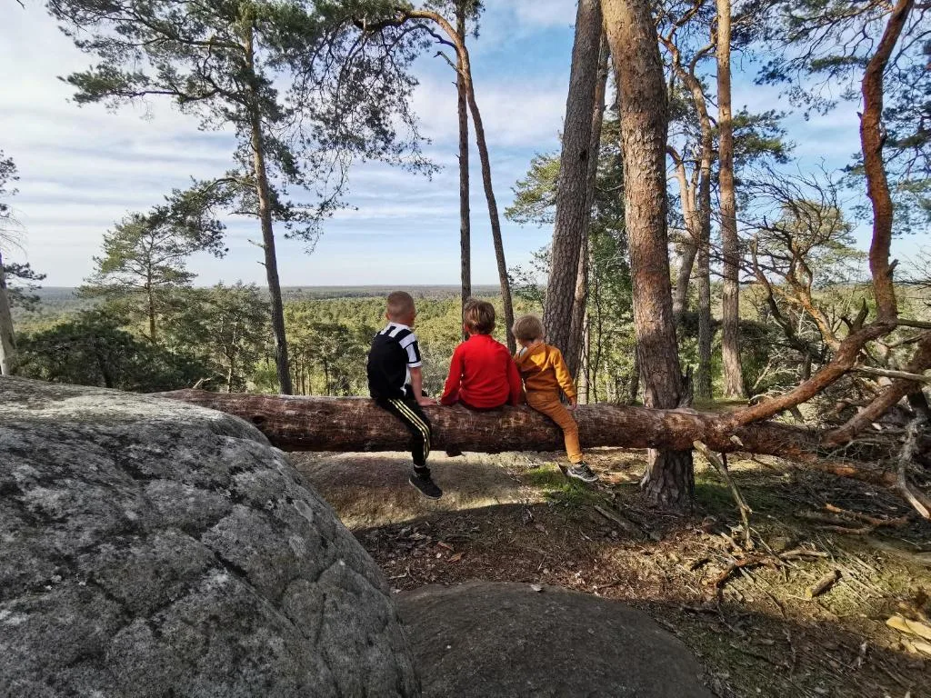 découvrez l'évasion parfaite en pleine nature avec notre escapade en forêt de fontainebleau. profitez de magnifiques paysages, de sentiers balisés et d'activités de plein air pour un séjour inoubliable en harmonie avec la nature.