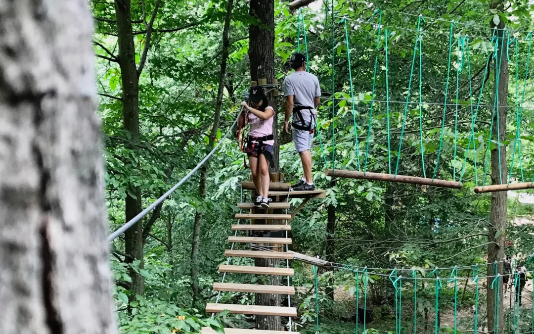 Dénichez les meilleures activités gratuites en Seine-et-Marne : tous les bons plans du 77