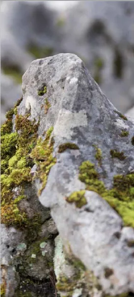 découvrez comment les habitants de fontainebleau s'engagent pour leur ville, en participant à des initiatives locales, en préservant l'environnement et en renforçant le lien social. rejoignez-nous pour explorer les actions et projets qui font vibrer la communauté de fontainebleau.