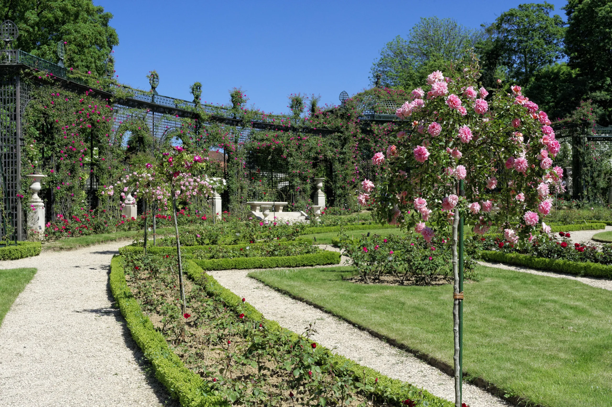 découvrez fontainebleau, une destination romantique au cœur de la nature et de l'histoire. flânez dans ses jardins majestueux, explorez le château aux mille et une pages de romance, et laissez-vous séduire par l'ambiance magique de cette ville chargée d'émotions.
