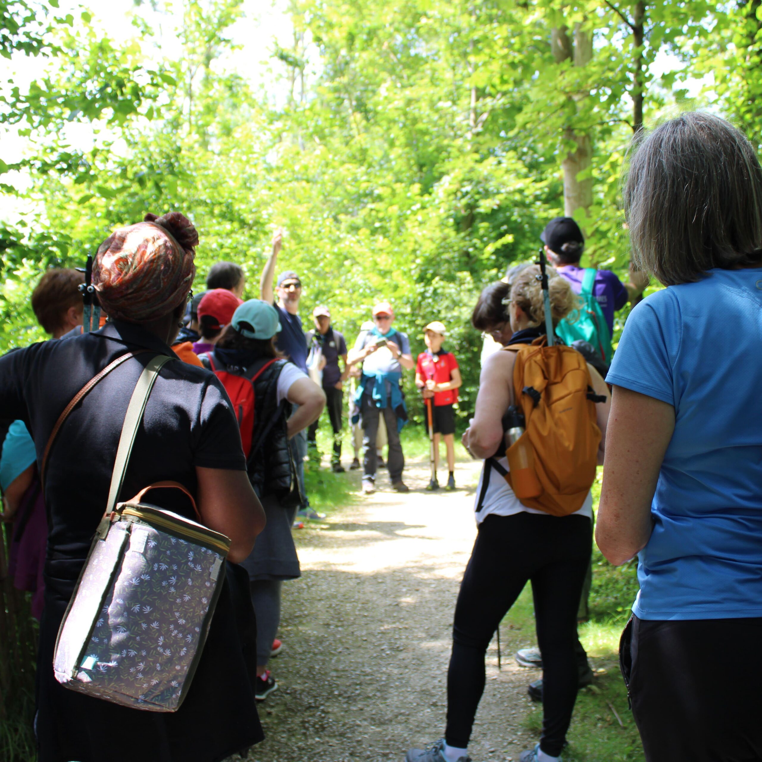 découvrez la magie du bon marché lors de notre visite nocturne exclusive. plongez dans un univers féérique, explorez ses allées illuminées et vivez une expérience shopping unique sous les étoiles. ne manquez pas cette occasion de redécouvrir le célèbre grand magasin dans une ambiance chaleureuse et intimiste.