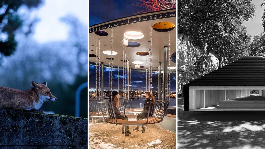 découvrez les meilleures expositions à voir en île-de-france : musées, galeries d’art, événements culturels et bons plans pour sortir autour de paris. actualités et agenda des expositions à ne pas manquer.