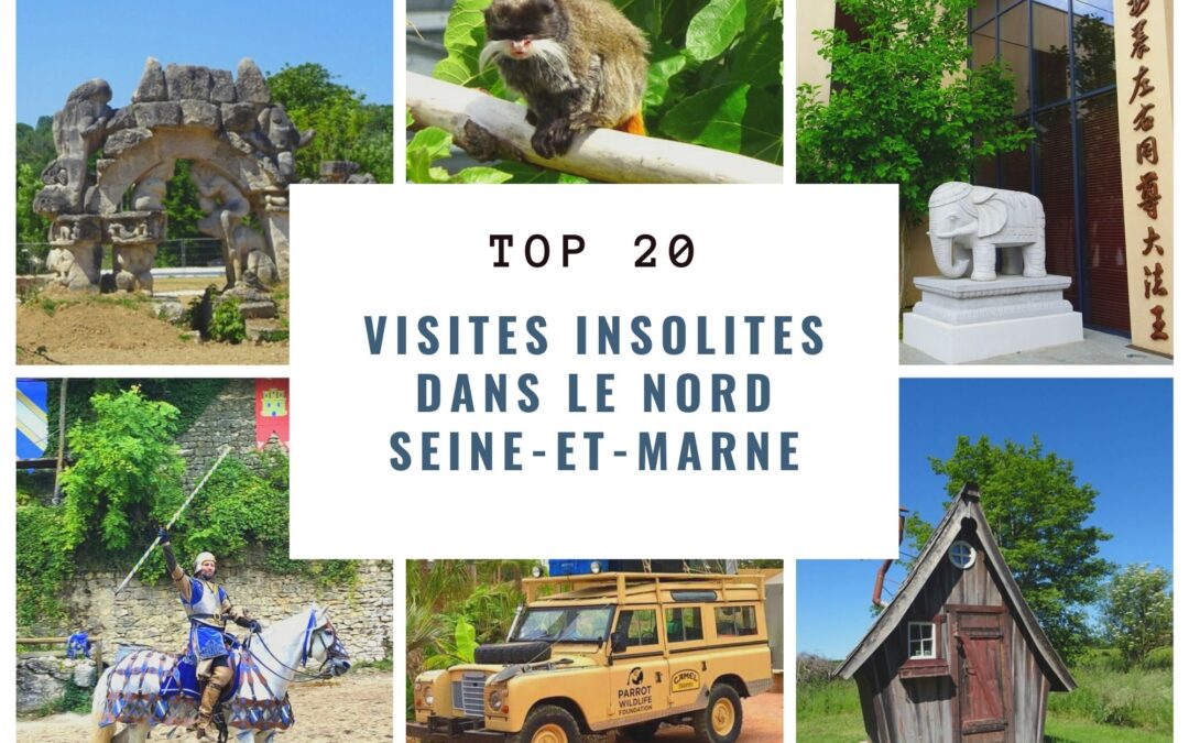 découvrez les meilleures idées d'activités à faire en week-end en seine-et-marne : balades, sorties en famille, visites culturelles et nature pour profiter pleinement de votre temps libre près de paris.
