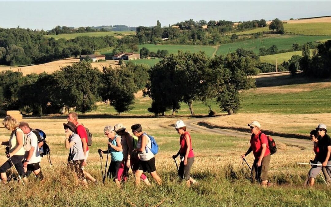 Cinq Randonnées Rafraîchissantes pour Échapper à la Chaleur !