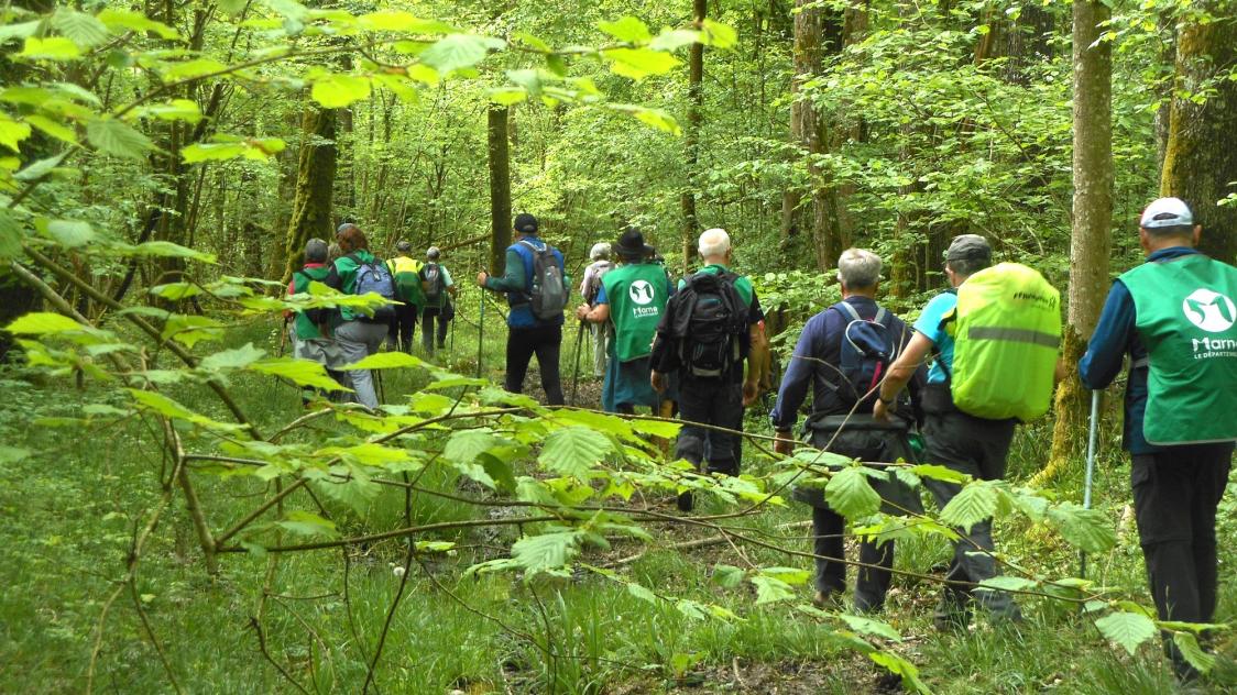 découvrez les plus belles randonnées estivales : conseils, itinéraires et astuces pour profiter pleinement de la nature cet été, que vous soyez débutant ou randonneur expérimenté.