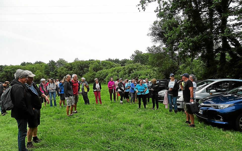 découvrez les plus belles randonnées estivales pour profiter de la nature, explorer des sentiers pittoresques et vivre des aventures inoubliables sous le soleil. conseils, itinéraires et astuces pour réussir vos sorties estivales.