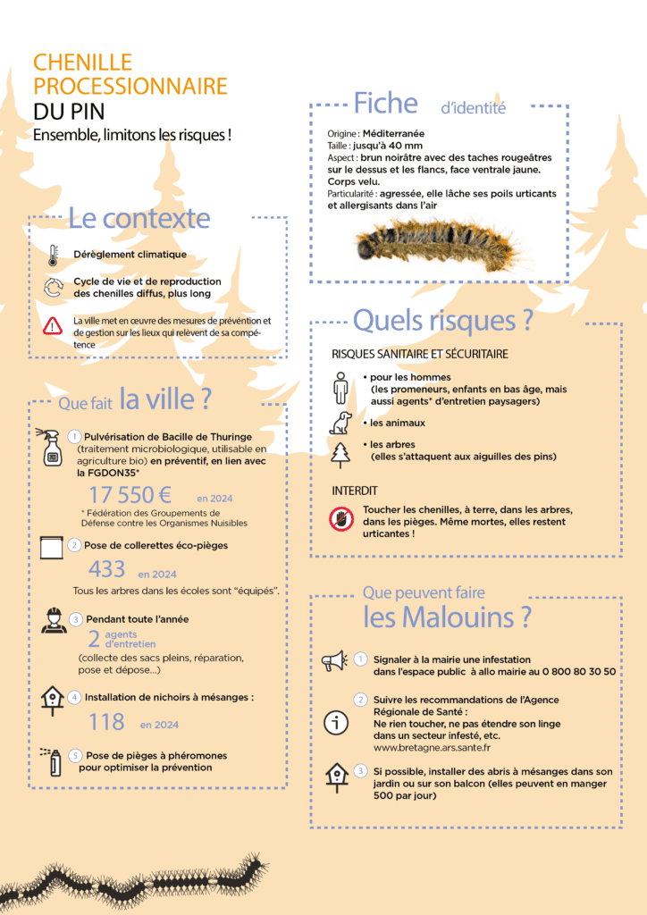 découvrez les principaux risques liés aux chenilles processionnaires pour la santé humaine, les animaux et l'environnement, ainsi que les précautions à prendre pour s'en protéger.
