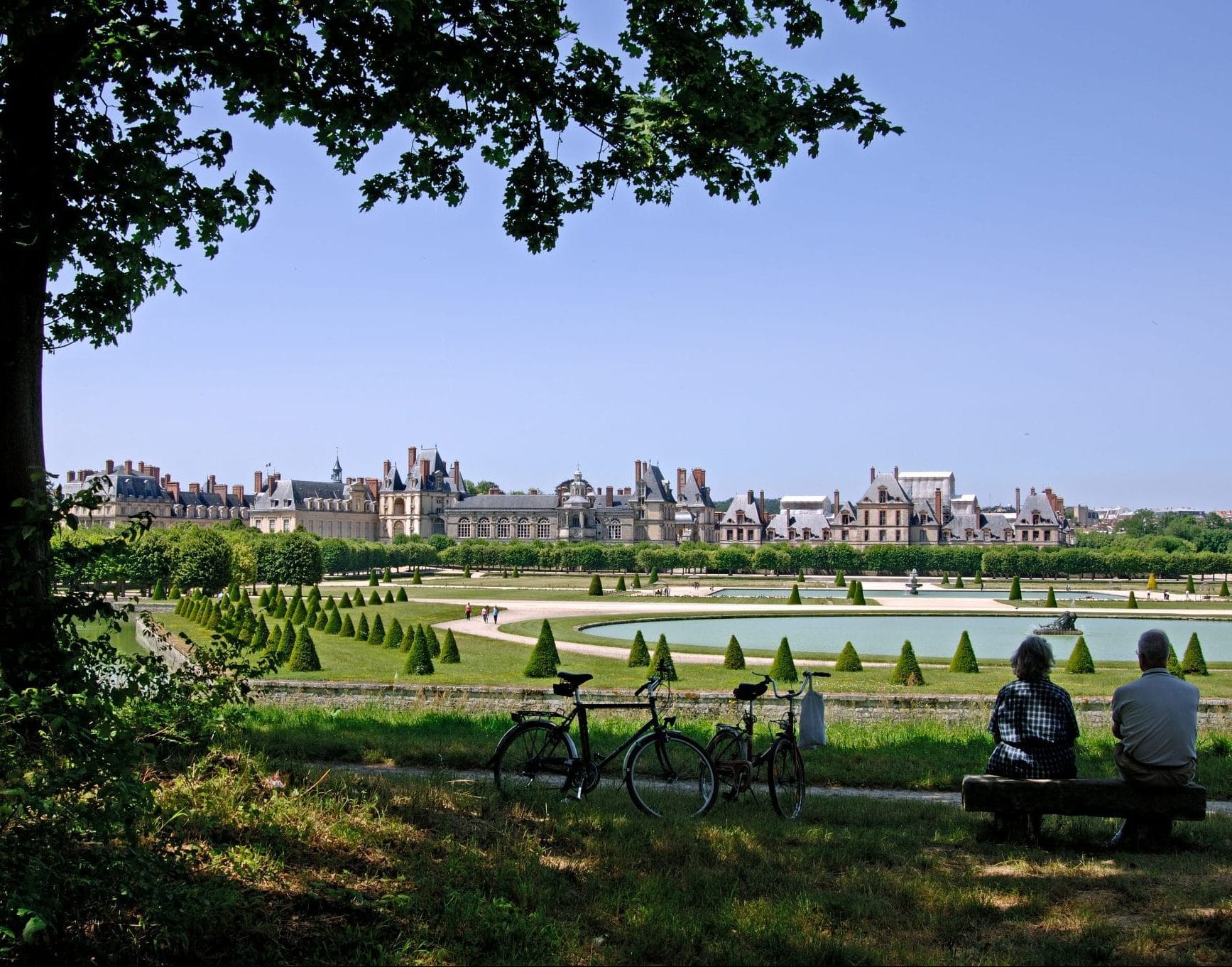découvrez la magie de fontainebleau la nuit avec le cnrs : une exploration nocturne inédite, entre science et patrimoine forestier. plongez au cœur d’expériences et d’observations uniques dans un site naturel d’exception.