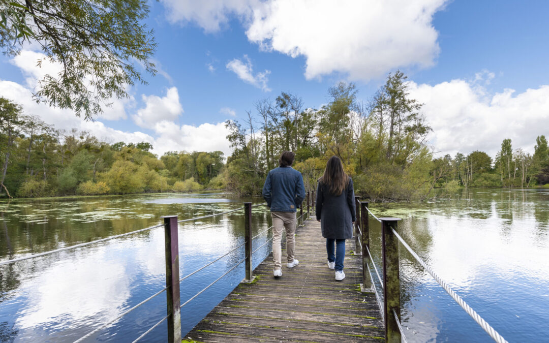 Dix idées de sorties incontournables pour le week-end des 4 et 5 octobre en Seine-et-Marne (77