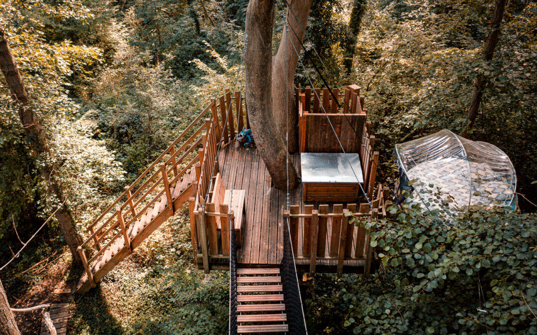 découvrez une nuit insolite au château de fontainebleau et vivez une expérience unique entre histoire et mystère dans ce lieu emblématique.