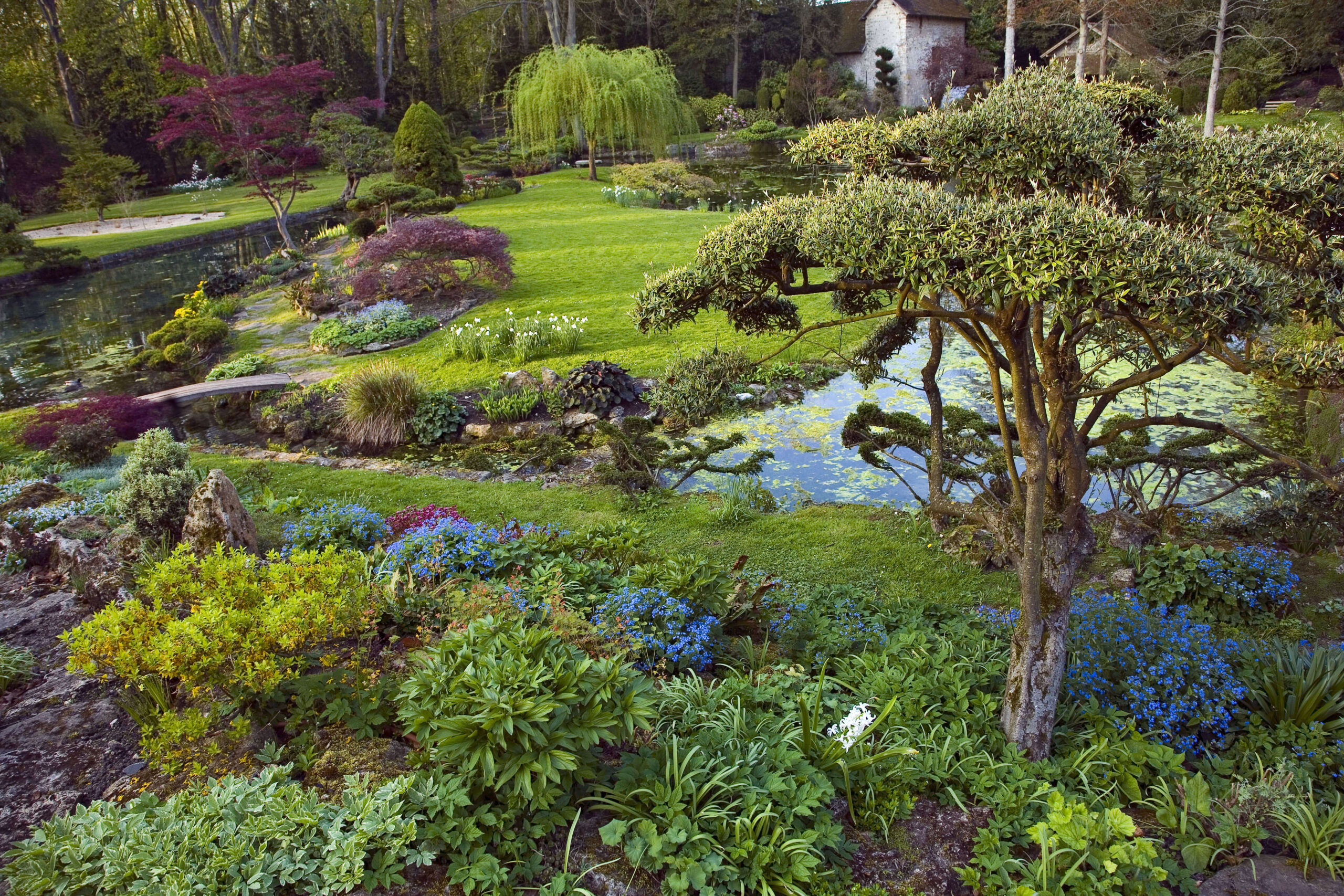 découvrez la magie des visites nocturnes au parc du château de fontainebleau, une expérience unique mêlant histoire, nature et ambiance féerique sous les étoiles.