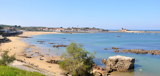 découvrez pourquoi louis xiv a choisi le pays basque comme lieu de son mariage, un choix stratégique et symbolique pour le roi soleil.